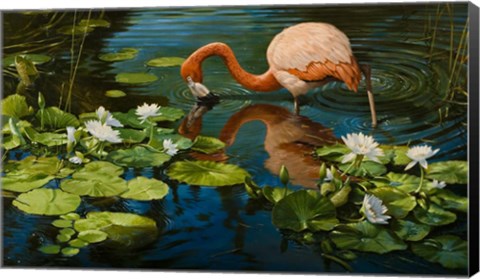 Framed Reflections Print