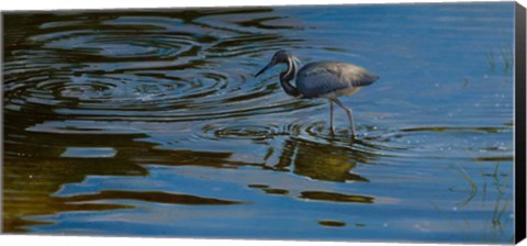 Framed Ripples Print