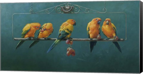Framed Sunconures Print