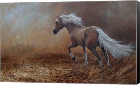 Framed Champion Print