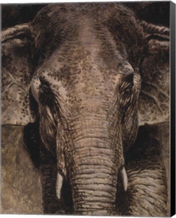 Framed Elephant Portrait Print