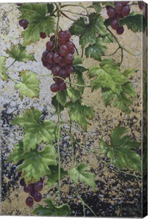 Framed Grapes Print