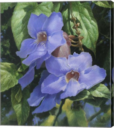 Framed Blue Flowers Print