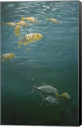 Framed Fish Print