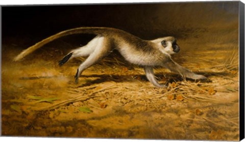Framed Catch me if you can Print