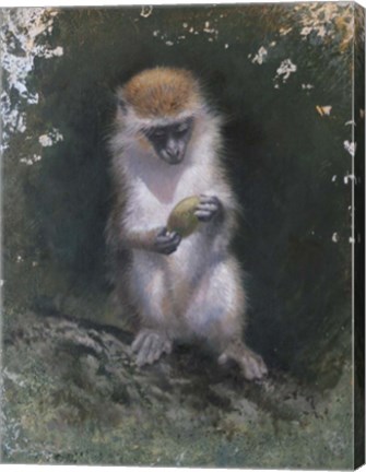 Framed Curious Monkey Print
