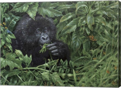 Framed Gorilla 1 Print
