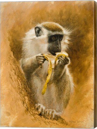 Framed Green Monkey 11 Print