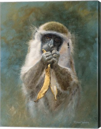 Framed Green Monkey Study Print