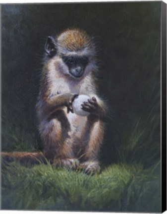 Framed Inquisitive Print