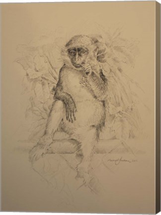 Framed Monkey Sketch Print