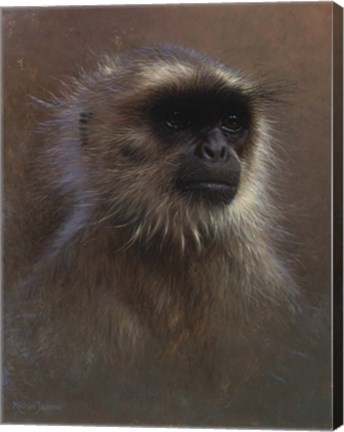 Framed Monkey Portrait Print
