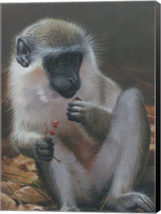 Framed Monkey 2 Print