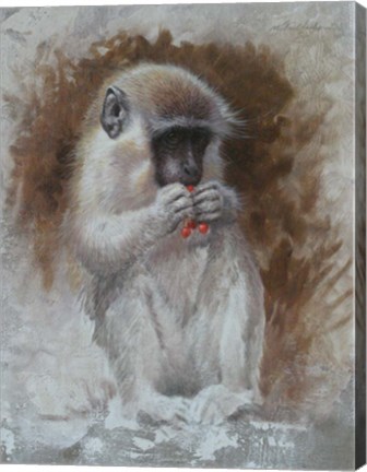 Framed Monkey 3 Print