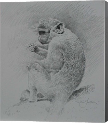 Framed Monkey Sketch 2 Print