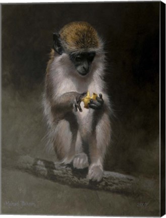 Framed Monkey Print