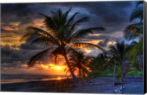 Framed Tropical Sunset Print