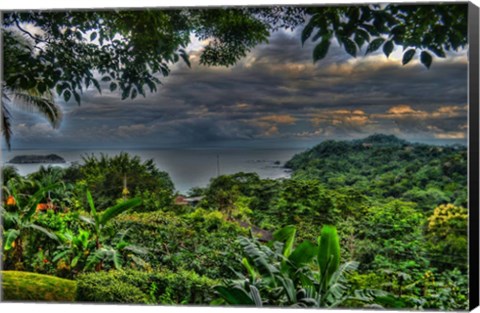 Framed Lush View Print