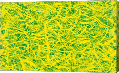 Framed Splatter Print