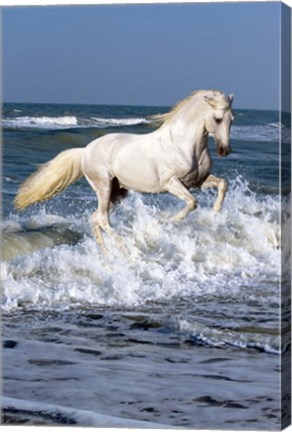 Framed Andalusian Sea Print