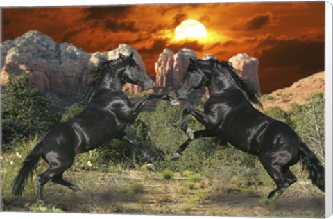 Framed Black Magic Print