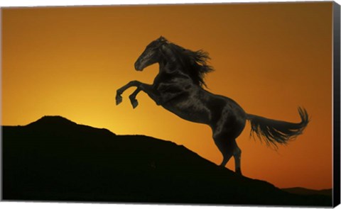 Framed Black Shadow Print