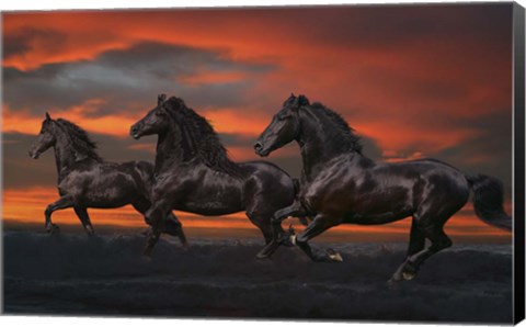 Framed Black Trio Print