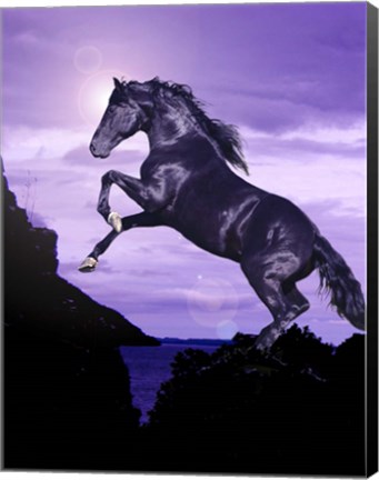 Framed Leap Of Faith Print