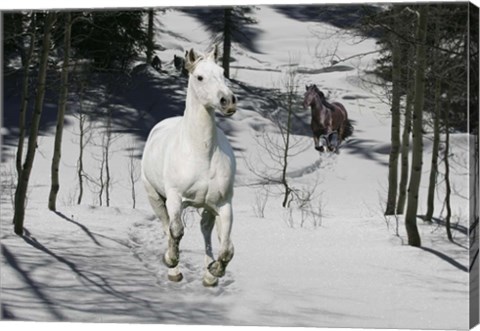 Framed Snow Chase Print