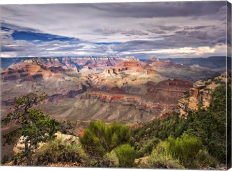 Framed Canyon View VI Print