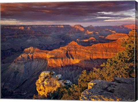 Framed Canyon View X Print