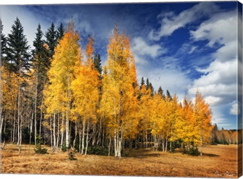 Framed Through the Yellow Trees II Print