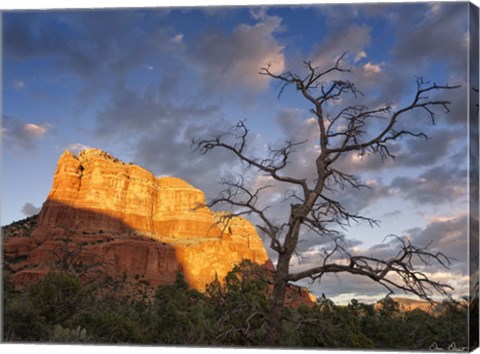 Framed Sunset in the Desert II Print