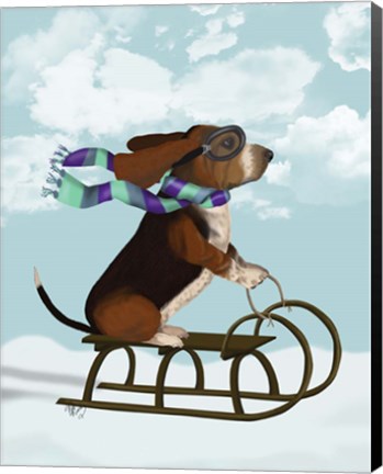 Framed Basset Hound, Sledging Print