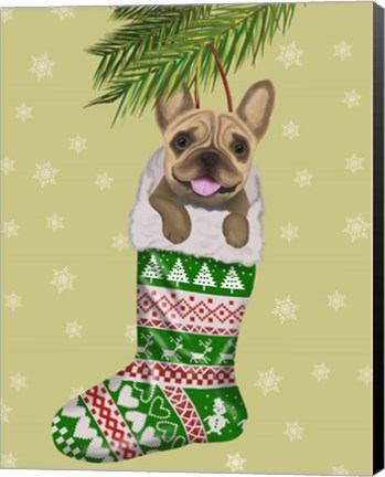 Framed French Bulldog in Christmas Stocking Print