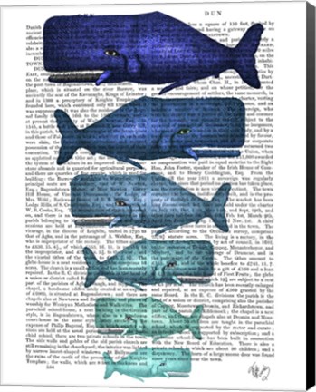 Framed Blue Whale Family Print