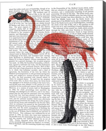 Framed Flamingo with Kinky Boots Print