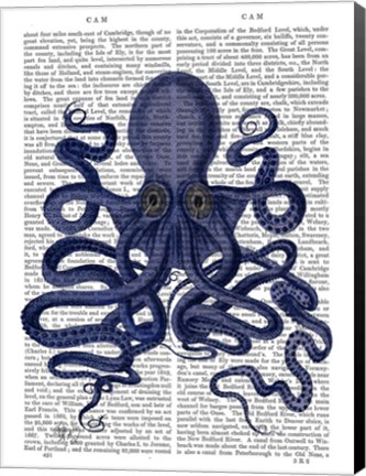 Framed Octopus 9, Blue Print