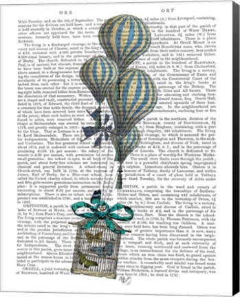 Framed Balloon and Bird Cage 2 Print