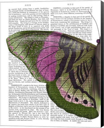 Framed Butterfly in Green and Pink a Print