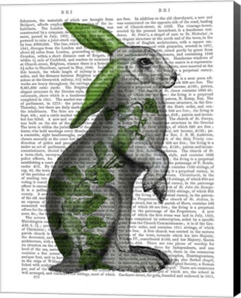 Framed Hare with Green Ears Print