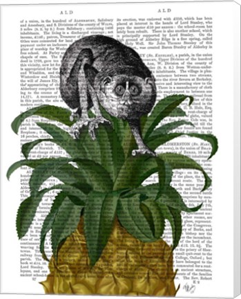 Framed Loris on Pineapple Print