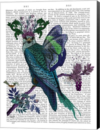 Framed Blue Falcon Print