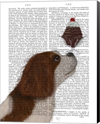 Framed Cavalier King Charles, Brown White, Ice Cream Print