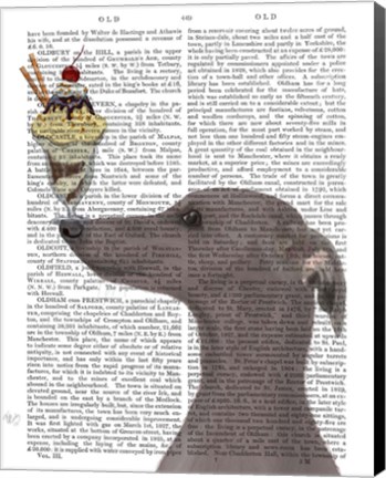 Framed Greyhound, Grey, Ice Cream Print