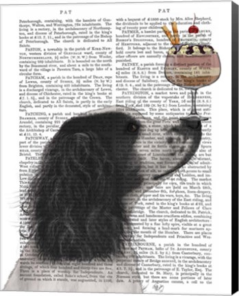 Framed Springer Spaniel, Black and White, Ice Cream Print