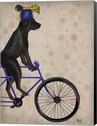 Framed Black Labrador on Bicycle Print