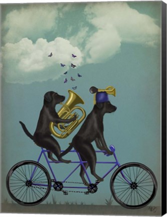 Framed Black Labrador Tandem Print