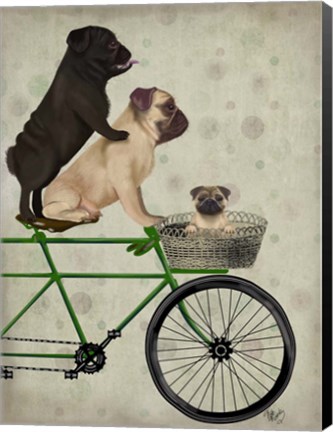 Framed Pugs on Bicycle Print