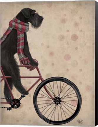 Framed Schnauzer on Bicycle, Black Print